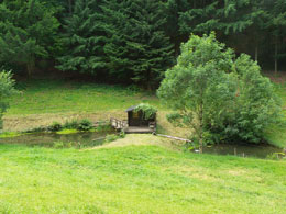 Soms gaan we ook heuvelopwaarts, richting Naturfreundehaus. Dan komen we deze forellenkweekvijvers tegen.