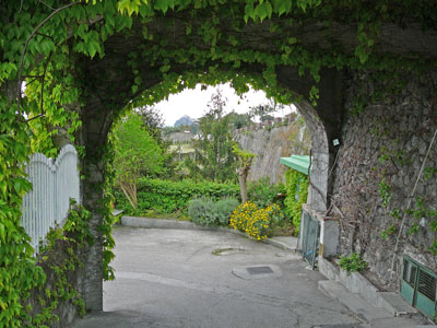 Ischia is een buitengewoon groen eiland.