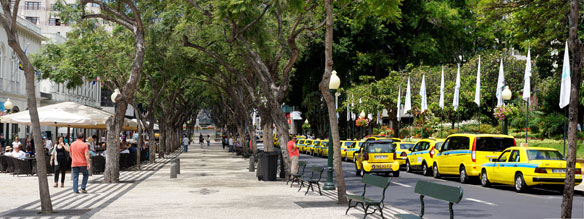 Taxis te over op de Avenida Arriaga - een van de vele toeristische pleisterplaatsen van de hoofdstad Funcal.