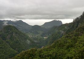 We gaan de hoofdroute lopen. Ondanks de mist heb je af en toe toch een helder doorkijkje: in de verte Porto da Cruz. Dat was de eindbestemming van onze eerdere levada-wandeling.