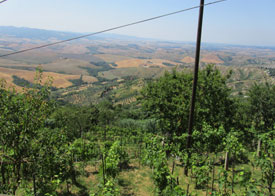 Bij aankomst in Volterra zie je heel in de verte in het dal het huis van de Familie Pronker.
