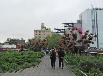 De High Line is een tot park omgebouwd kruisingsvrij bovengronds voormalig goederenspoor.