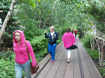 De High Line is een tot park omgebouwd kruisingsvrij bovengronds voormalig goederenspoor.