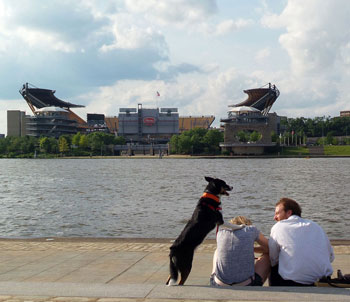 Vanaf de punt waar de Allegheny Rivier en  de Monongahela Rivier bij mekaar komen hebben slums plaats gemaakt voor een park en een grote fontein. En veel banken en andere zitjes. Je hebt hier een fraai uitzicht op het honkbalstadion aan de overkant van de Allegheny Rivier en het naastgelegen Heinz-complex: dit bedrijf heeft hier haar bakermat.