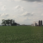 Het landschap van Illinois: veel akkerbouw.