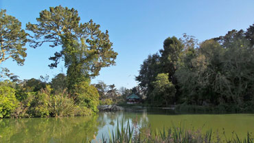 Een door fraaie bomen omzoomd doorkijkje bij het Stow Lake.