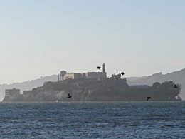 Alcatraz  van 1934 tot 1963 een beroemde, streng bewaakte gevangenis. De naam is afgeleid van het Arabische al-qaṭrās, wat zeearend betekent. De Spanjaarden hebben dit woord overgenomen om de pelikaan te beschrijven. Die vogels zie je hier dan ook langs het eiland vliegen.