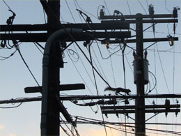 Op de terugweg naar de bus. Een eenzame eekhoorn zoekt haar weg tussen elektriciteits- en telefoonpalen.