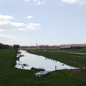 Hollands Groene Hart, met ongerept zicht op Delft. Geen flats aan de horizon. Een zeldzaamheid!