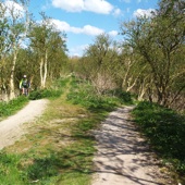 Jammer dat dit bewuste verwilderde terrein tevens een crossfietsparcours blijkt te zijn (rijmt).