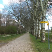 De wandeling gaat ook langs een afgeschermd gedeelte waar Schotse Hooglanders grazen.