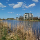 De Vlaardingse Vaart is me niet onbekend. Hier heb ik regelmatig geschaatst: op doortocht van Madestein naar Vlaardingen. Fraaie route.