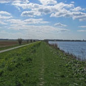 Heel in de verte Europoort en windmolens.