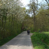 Als we na Werkhoven de goede weg weer terug hebben gevonden, wordt het gelukkig wat beter.