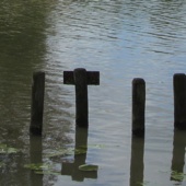 Paaltjes in de Linge.