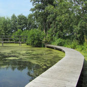 Een watertraject naar een smalle brug op onze route.